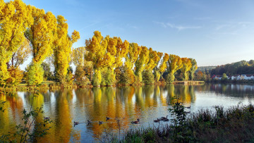 Картинка природа реки озера река