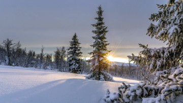 Картинка природа зима снег