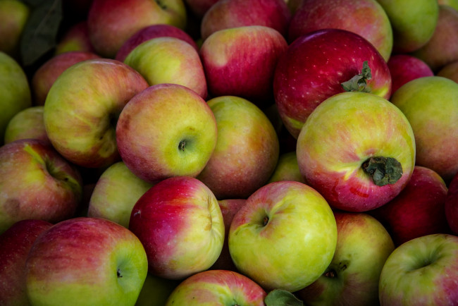 Обои картинки фото еда, яблоки