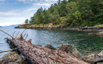 Картинка природа реки озера река