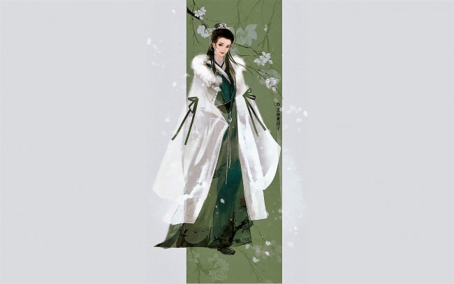 Обои картинки фото рисованное, люди, девушка, накидка, ветка