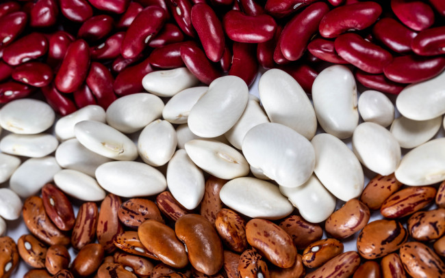 Обои картинки фото еда, бобовые, фасоль, разноцветная