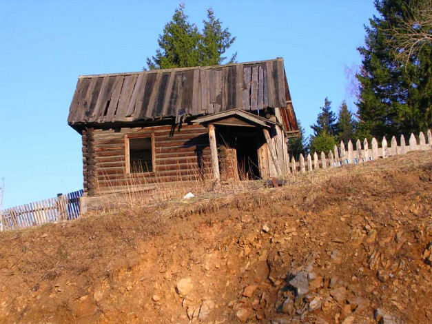 Обои картинки фото 