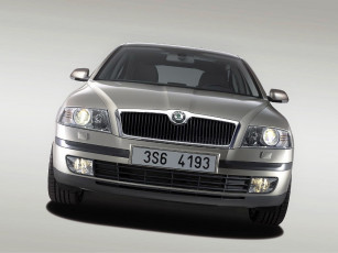 Картинка автомобили skoda