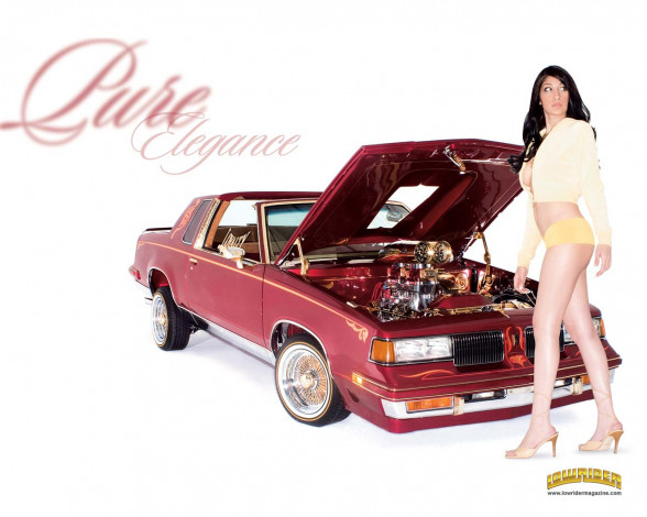 Обои картинки фото автомобили, авто, девушками