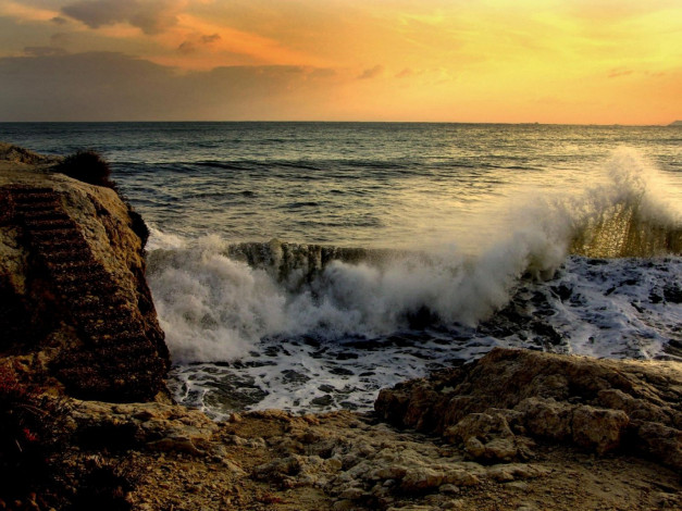 Обои картинки фото 