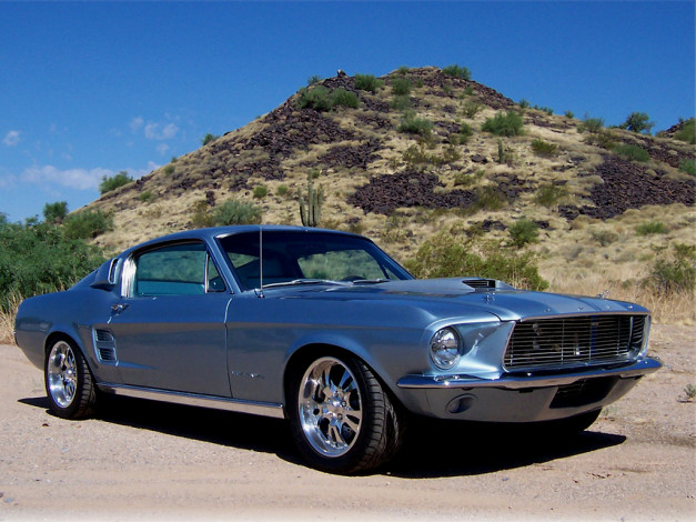 Обои картинки фото автомобили, ford