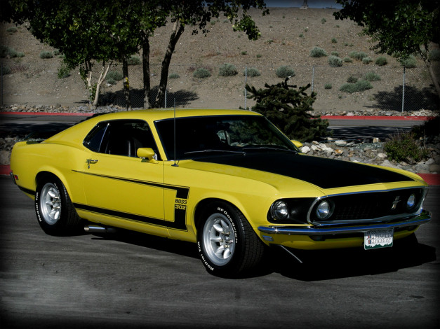 Обои картинки фото автомобили, ford