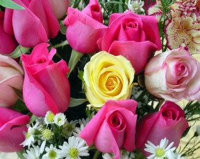 Картинка цветы разные вместе