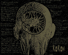 Картинка k0k0n музыка