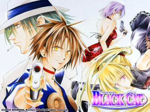 Картинка аниме black cat