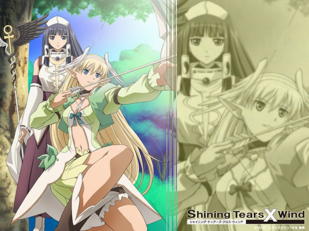 Обои картинки фото аниме, shining, tears, wind