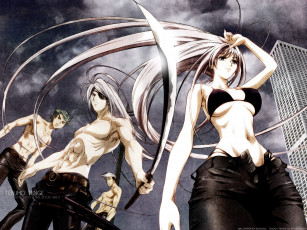 Картинка аниме tenjou tenge