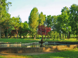 Картинка города фонтаны