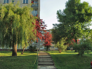 Картинка города улицы площади набережные