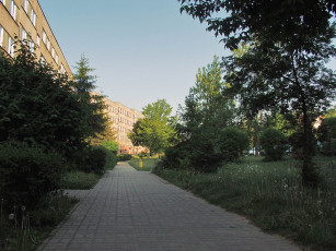 Картинка города улицы площади набережные