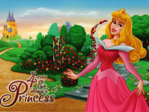 Картинка мультфильмы sleeping beauty