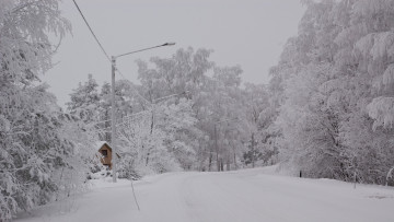 Картинка природа зима