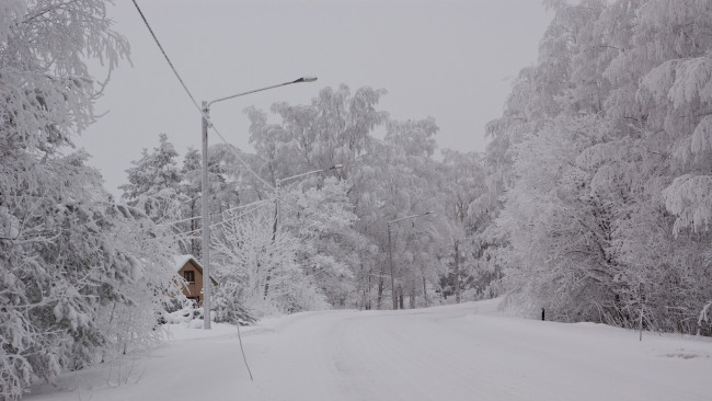 Обои картинки фото природа, зима