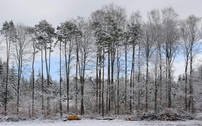 Обои картинки фото природа, зима