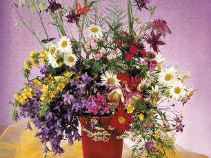 Картинка цветы луговые полевые букет ромашки