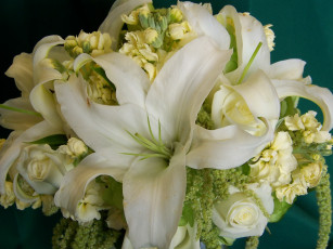 Картинка цветы букеты композиции букет лилии розы