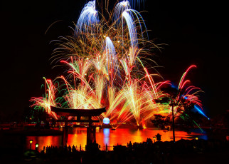 Картинка города диснейленд штат флорида сша фейерверк шоу представление зрелище