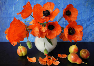 Картинка цветы маки груши фон букет