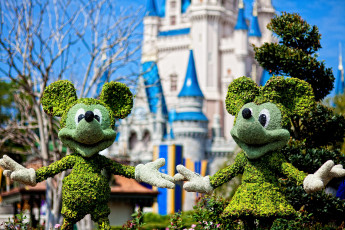 Картинка города диснейленд микки маус мини америка штат флорида фигуры замок сша