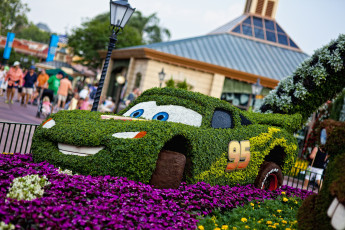 Картинка города диснейленд парк диснея