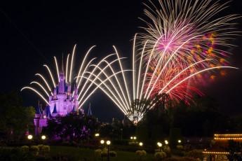 Картинка города диснейленд зрелище представление шоу фейерверк сша замок золушки штат флорида