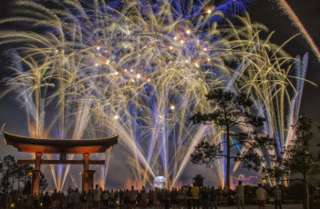 Картинка города диснейленд фейерверк зрелище представление шоу сша штат флорида