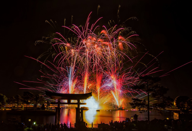 Обои картинки фото города, диснейленд, фейерверк, сша, штат, флорида, шоу, представление, зрелище