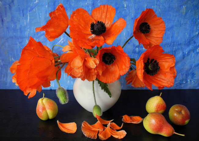 Обои картинки фото цветы, маки, груши, фон, букет