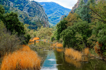 Картинка природа реки озера лес река горы