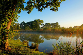Картинка природа реки озера деревья вода