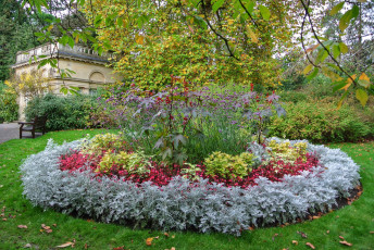 Картинка природа парк клумба газон цветы