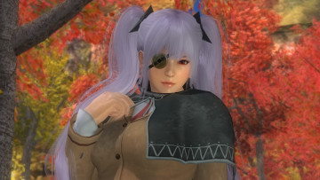 Картинка видео+игры dead+or+alive+5 взгляд девушка фон