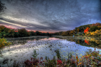 Картинка природа реки озера лес река