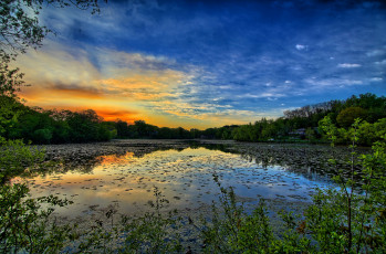 Картинка природа реки озера река лес