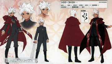 Картинка аниме fate stay+night парень