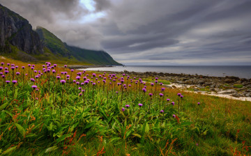 Картинка природа побережье берег море