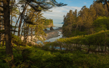 Картинка природа побережье берег море