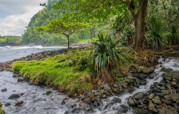 Картинка природа побережье море берег