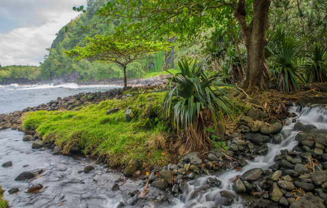 Обои картинки фото природа, побережье, море, берег