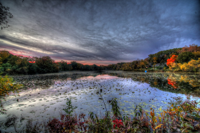 Обои картинки фото природа, реки, озера, лес, река