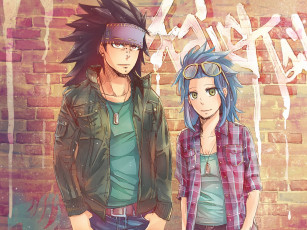 Картинка аниме fairy+tail леви гаджил