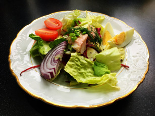 Картинка еда салаты +закуски снедь