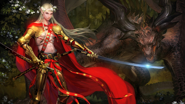 Обои картинки фото фэнтези, эльфы, меч, парень, дракон, эльф