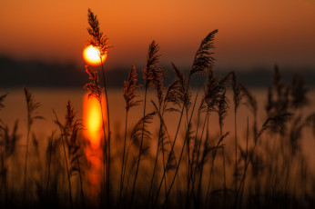 Картинка природа восходы закаты простор